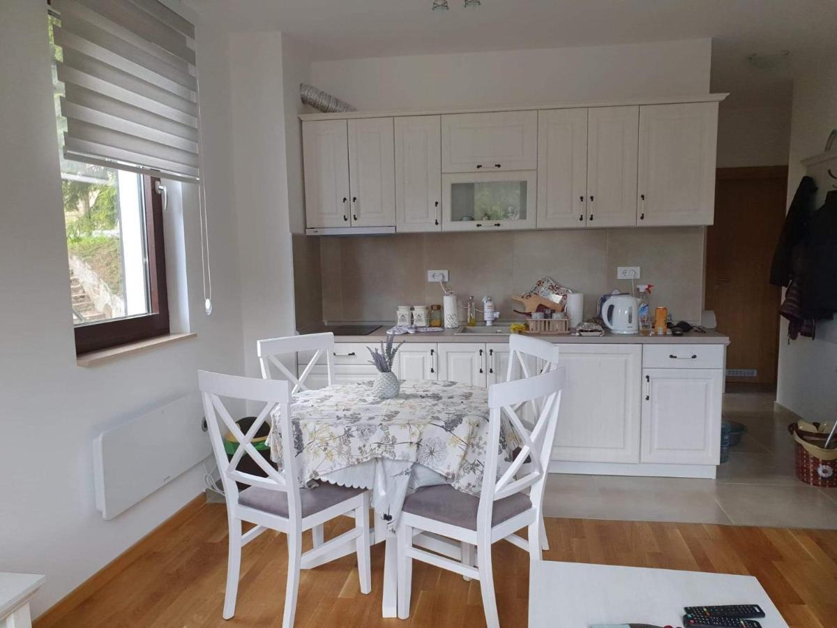 Vila Irina - Apartman Milos Kopaonik Exterior foto